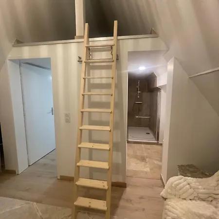 Superbe A 2 Km Centre De Colmar ヴィラ オルブール